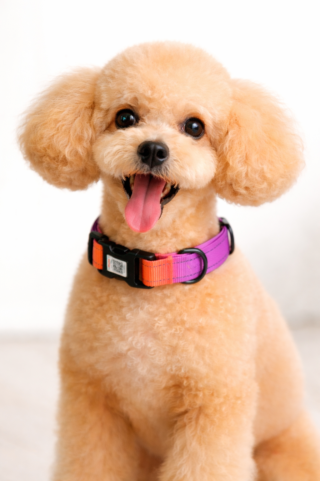 ILFIND YOU  X SMALL (Pink-Orange)