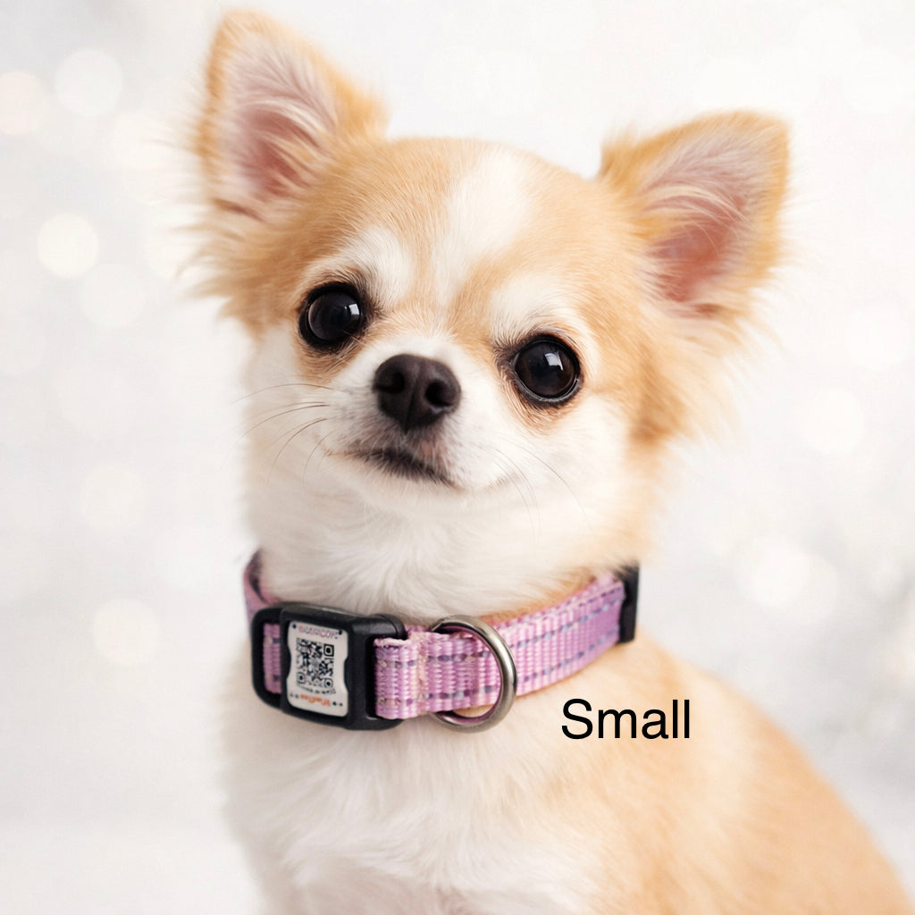 ILFIND YOU SMALL (Blue-Rose)