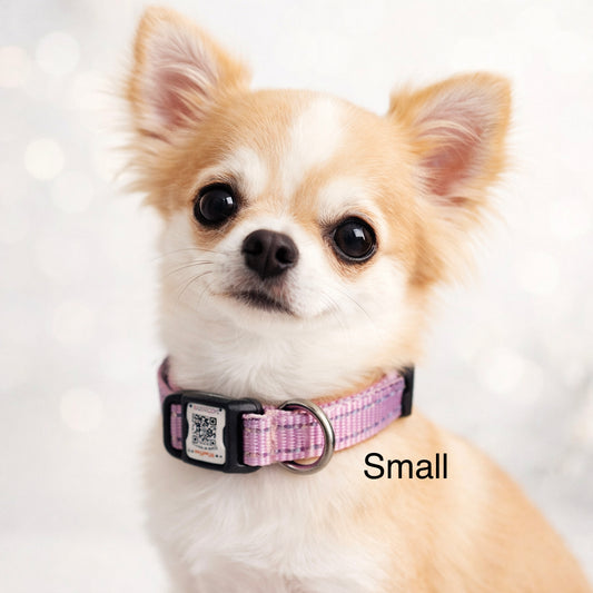 ILFIND YOU SMALL (Blue-Rose)