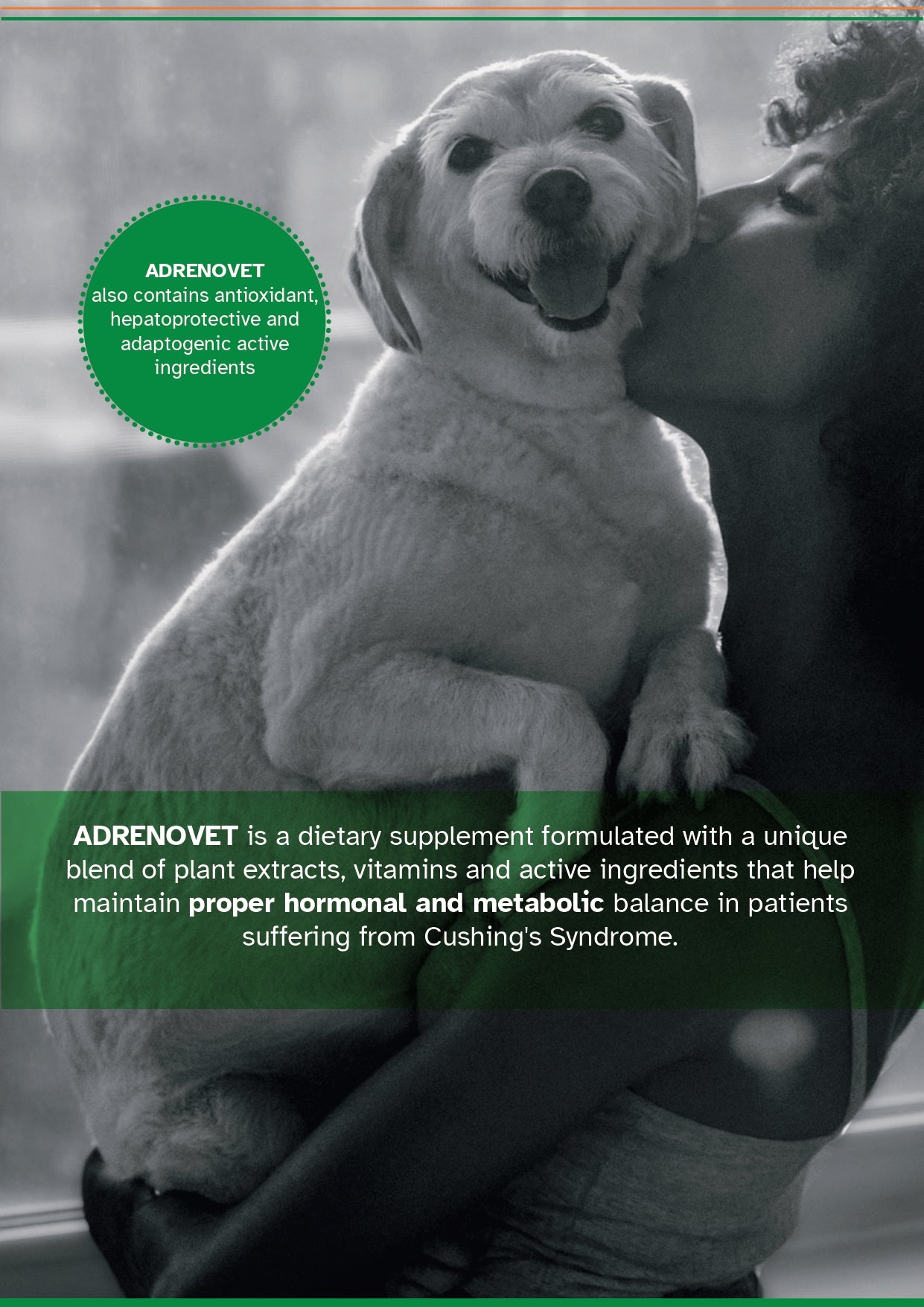 ADRENOVET