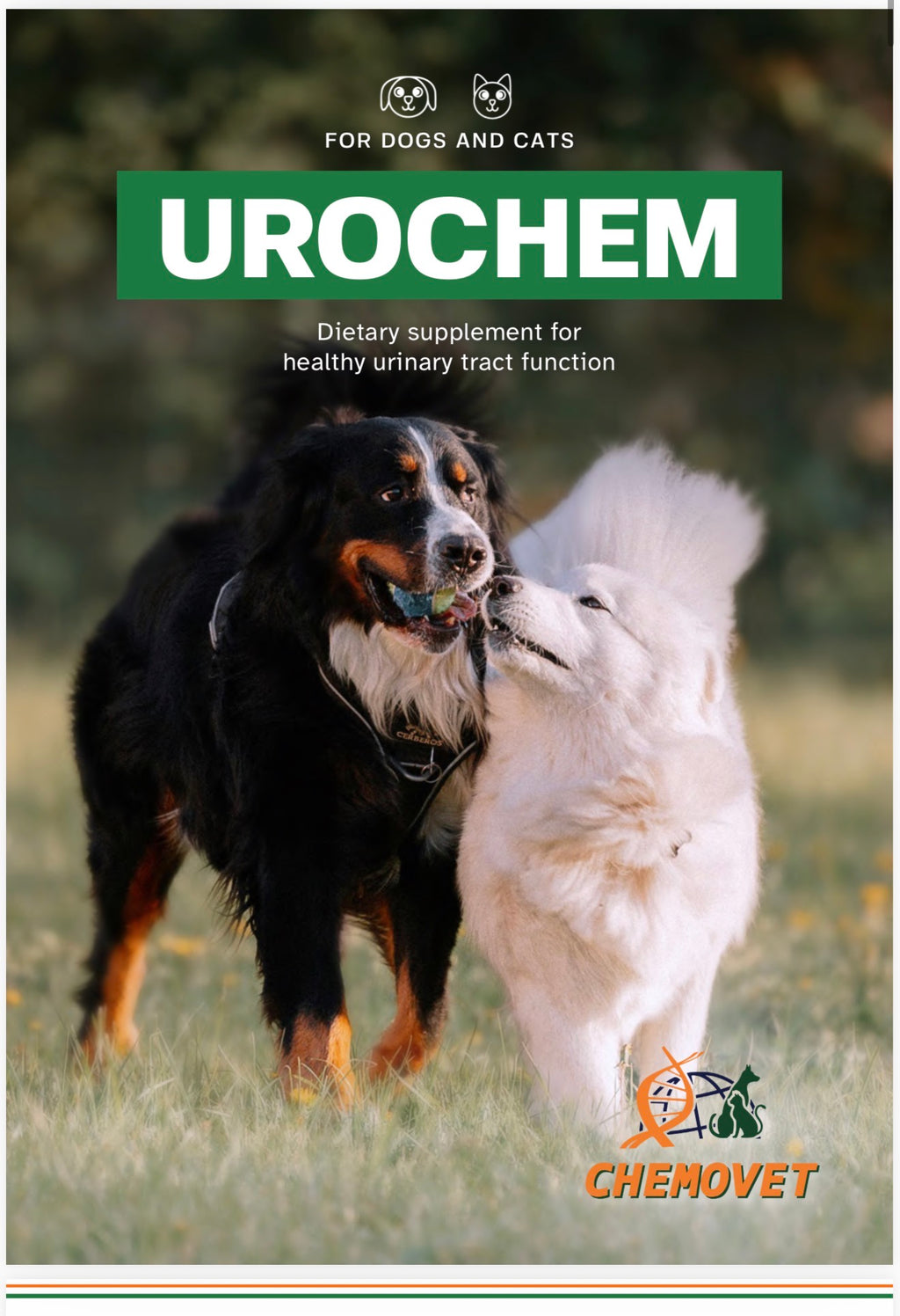 UROCHEM 1 gr