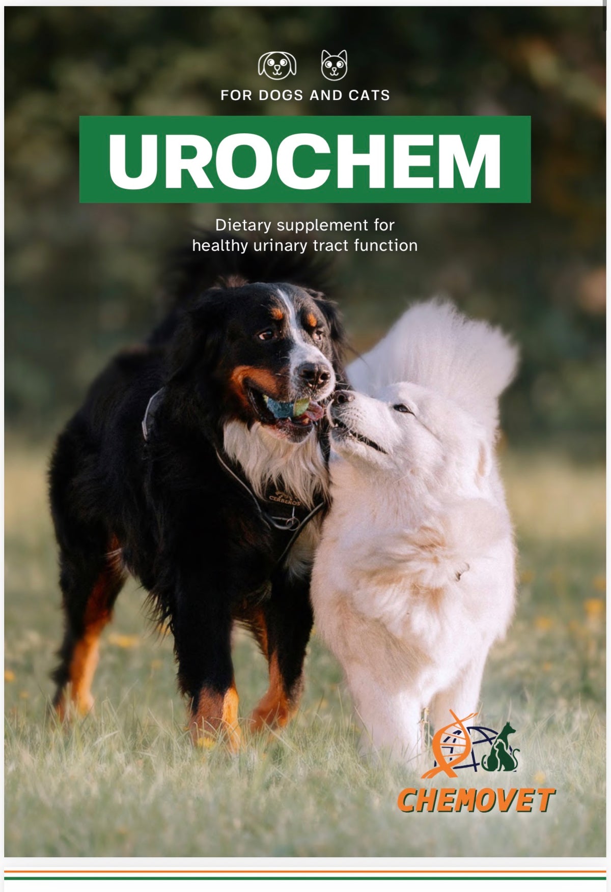 UROCHEM 1 gr