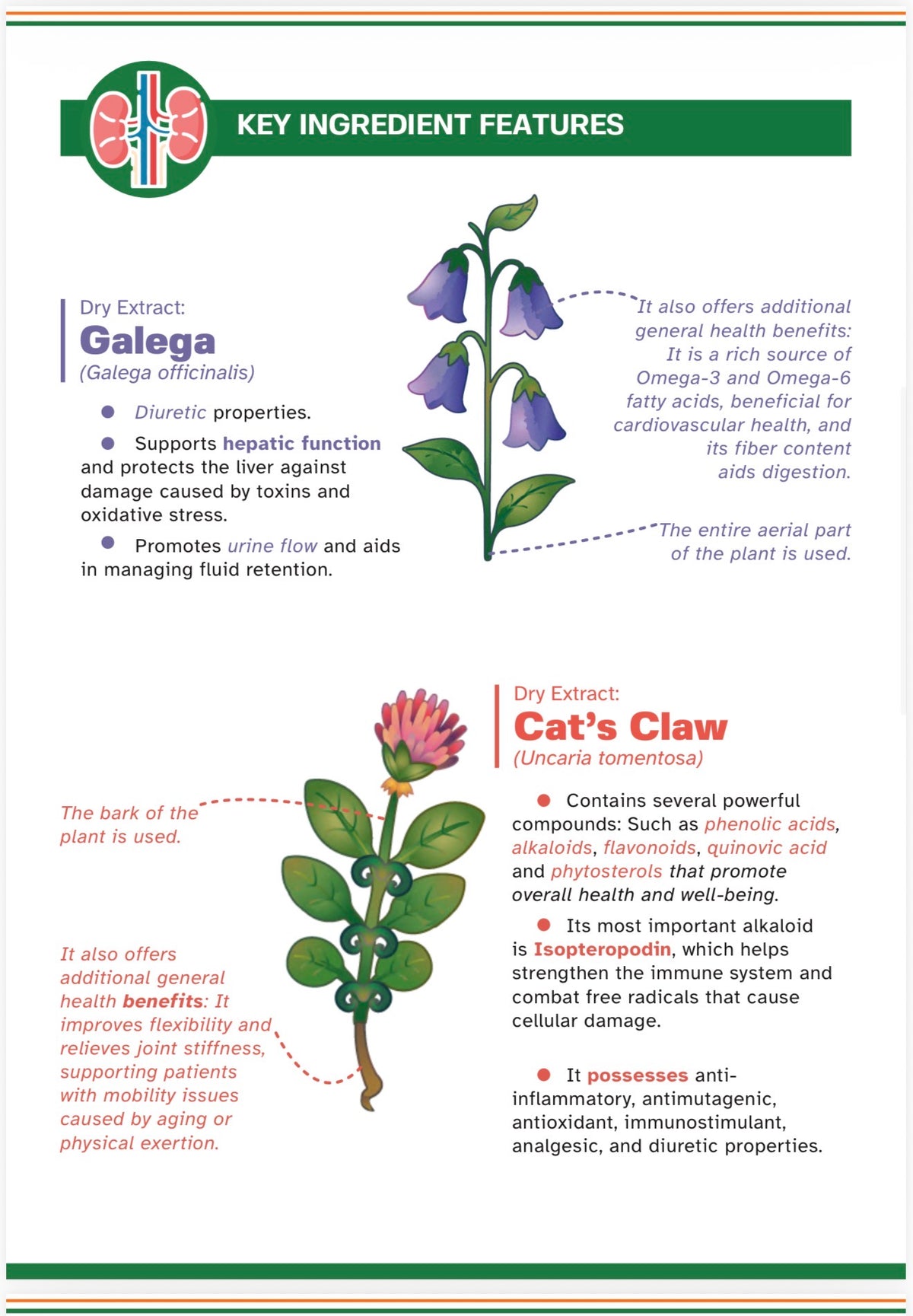 UROCHEM 1 gr