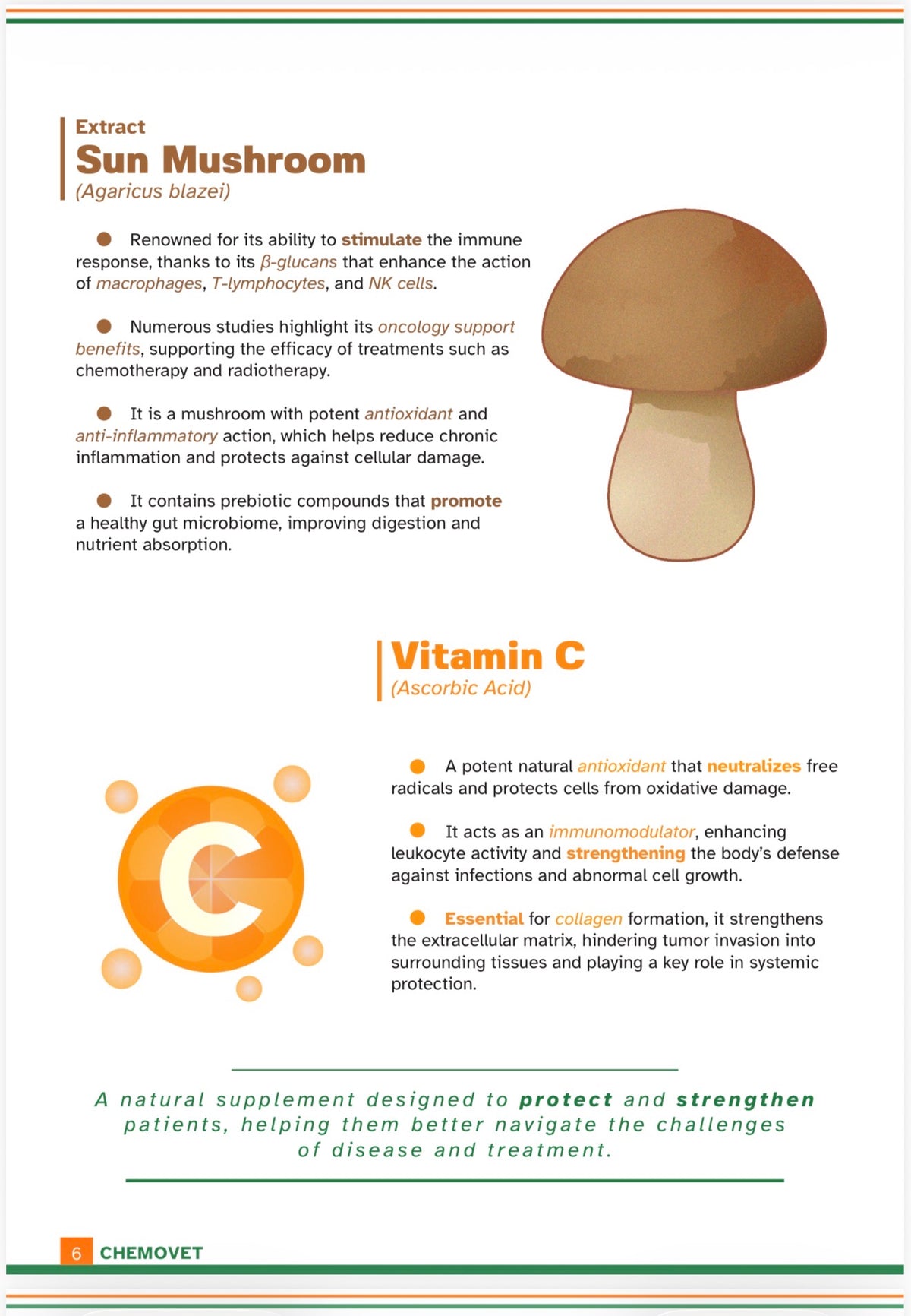 ONCOVET FUNGI 1 gram