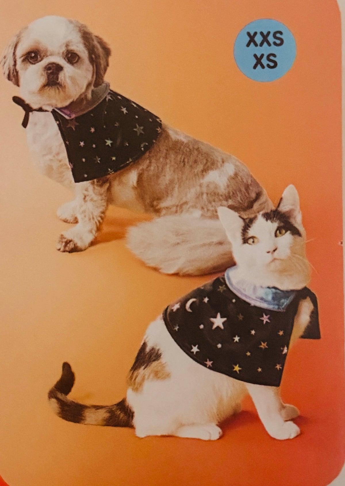 Pets Costum Wizardly Cape