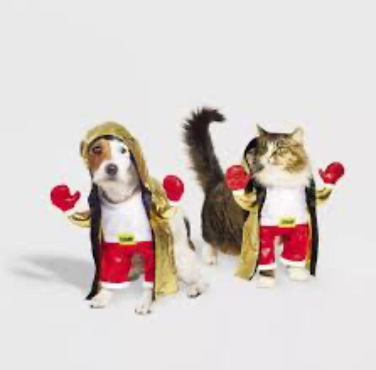 Pet Costume Boxes