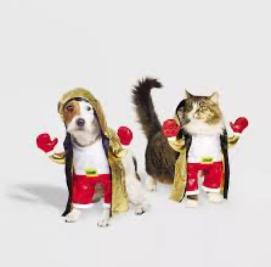 Pet Costume Boxes