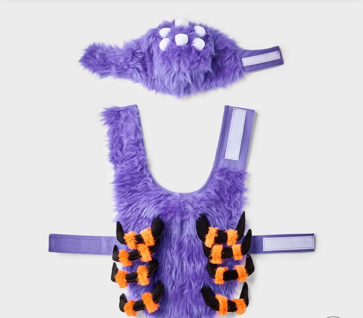 Spider Costume Dog