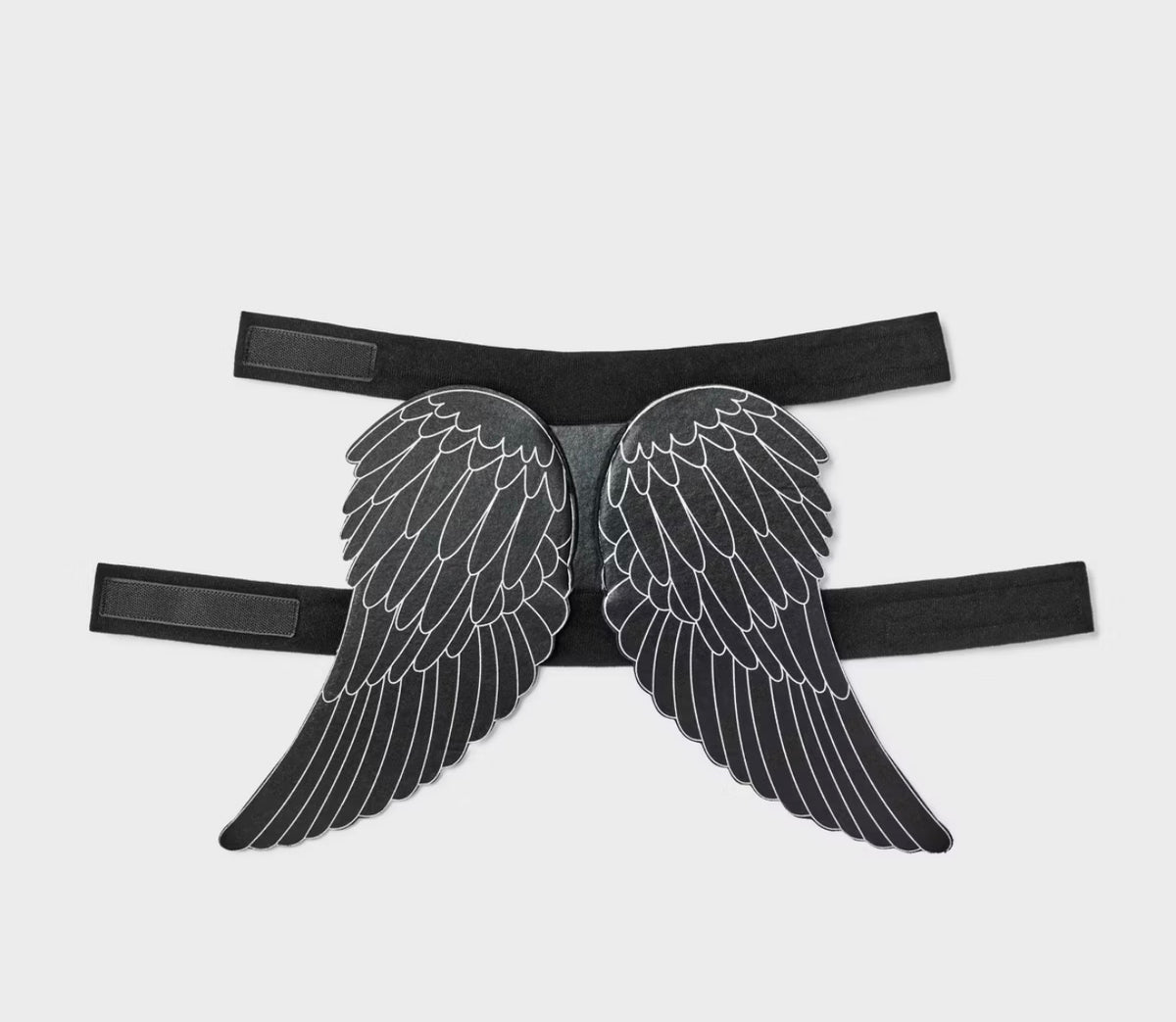 Pet Costume Wings, dog.