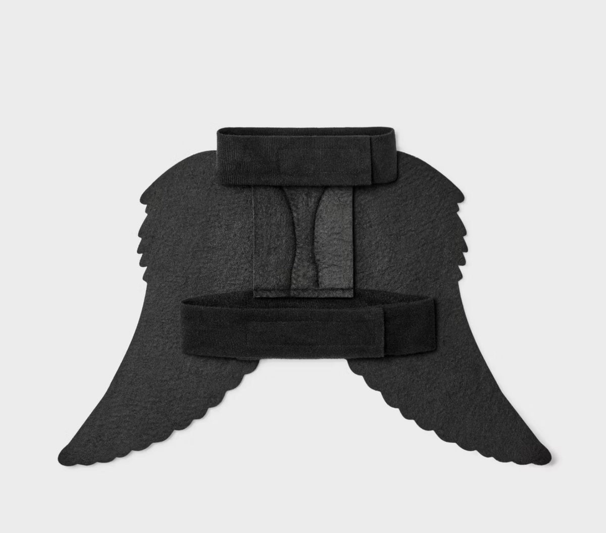 Pet Costume Wings, dog.