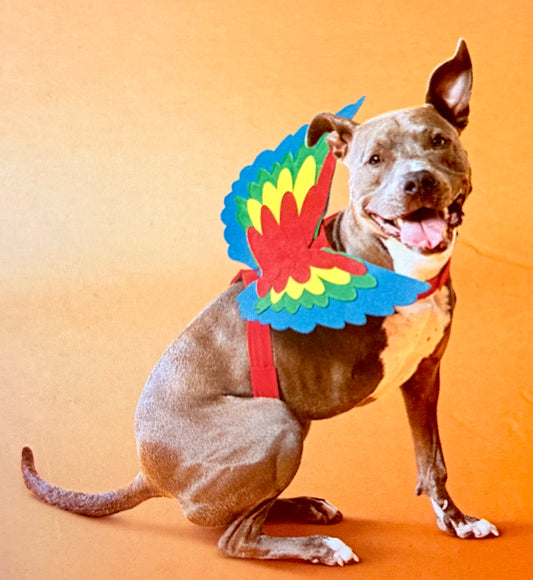 Pet Costume Wings