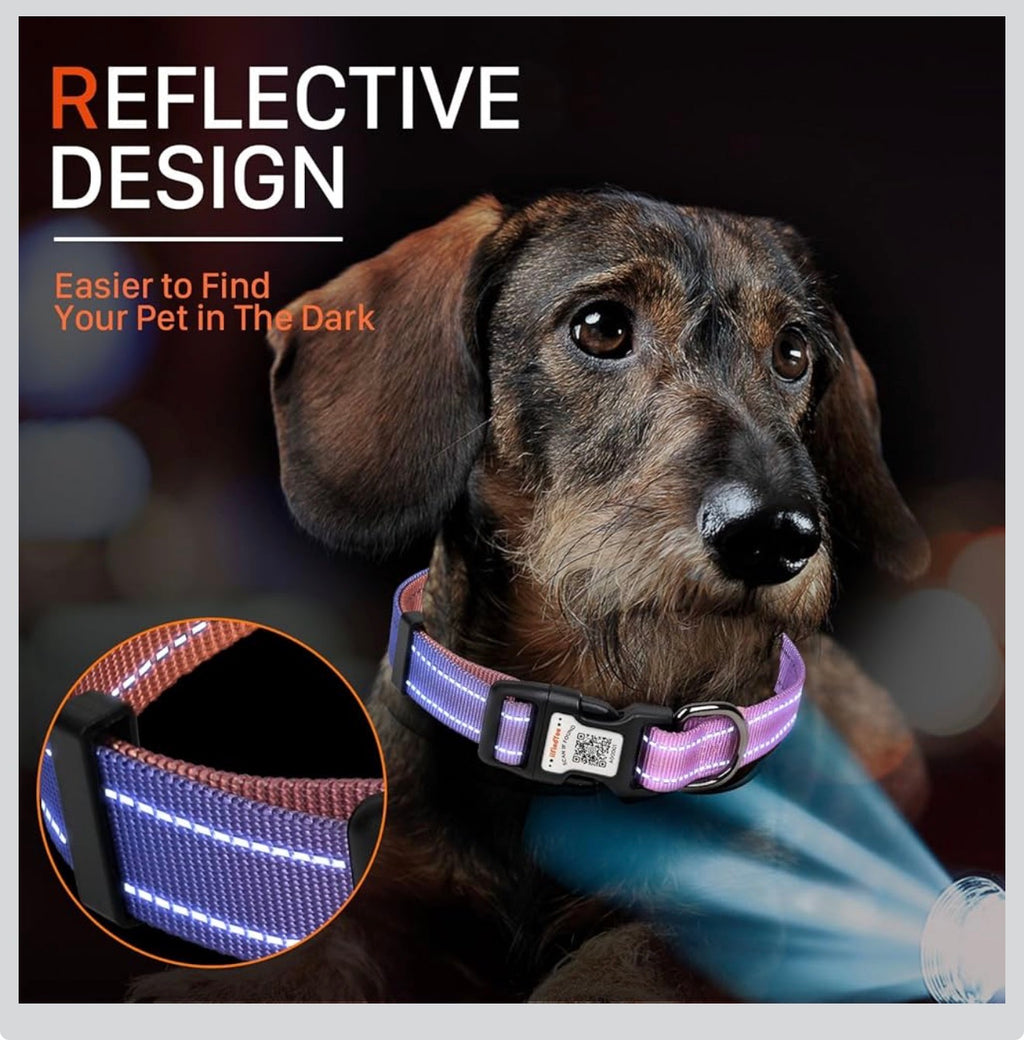 ILFIND YOU  X SMALL (Pink-Orange)