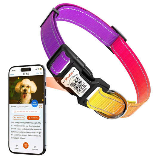 "I'll Find You" Smart ID Safety Collar - (Purple-Yellow)
