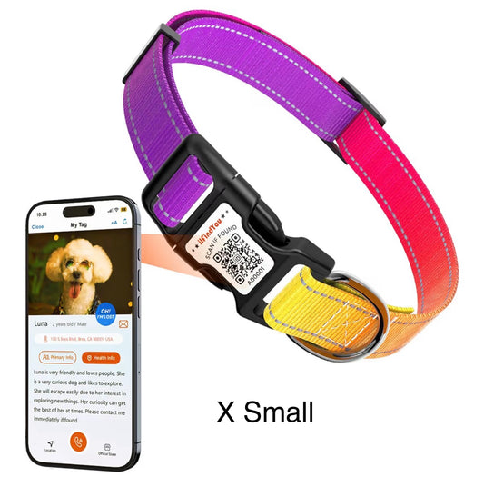 ILFIND YOU  X SMALL (Purple and Yellow)