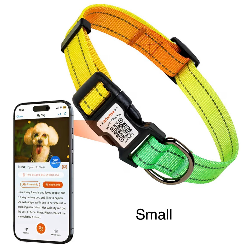 ILFIND YOU SMALL (Green -Orange)