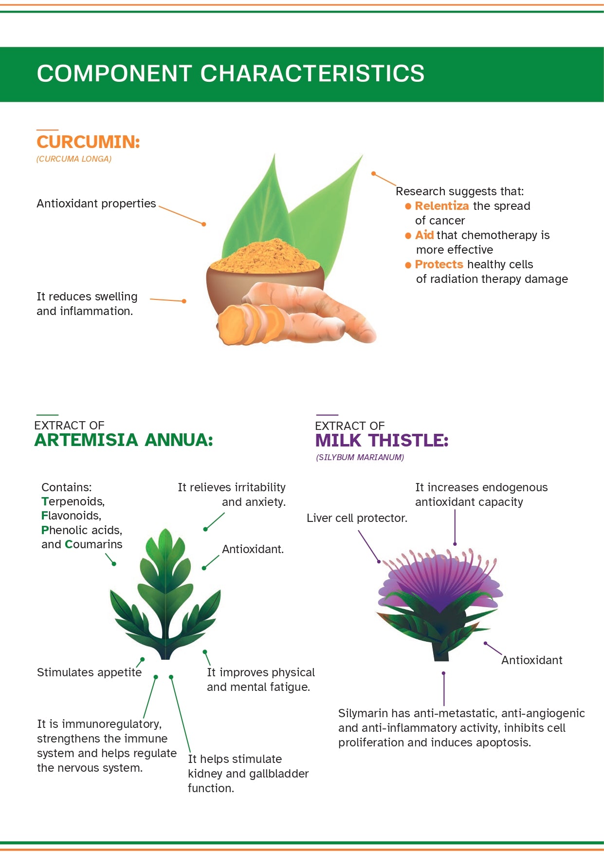 ONCOVET VITALITY