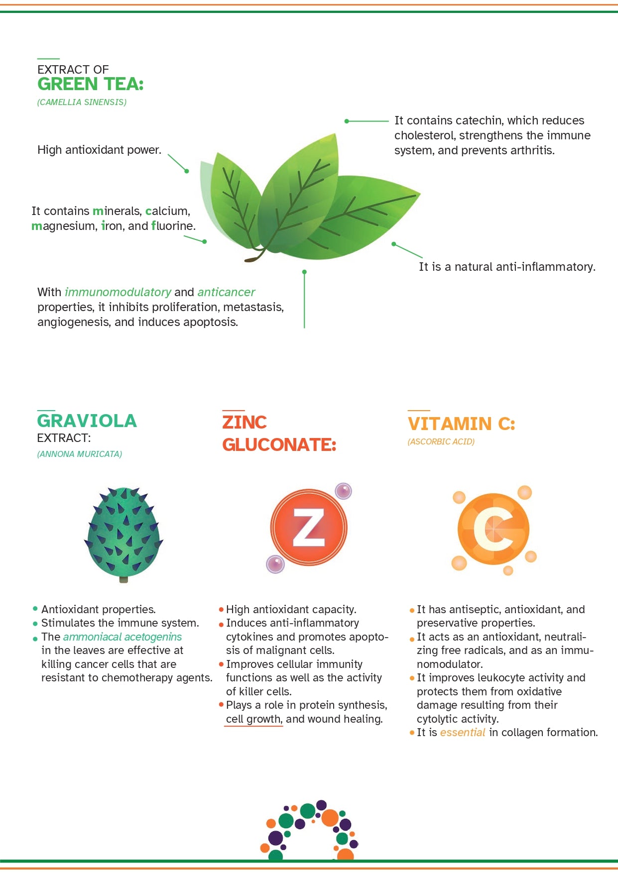ONCOVET VITALITY