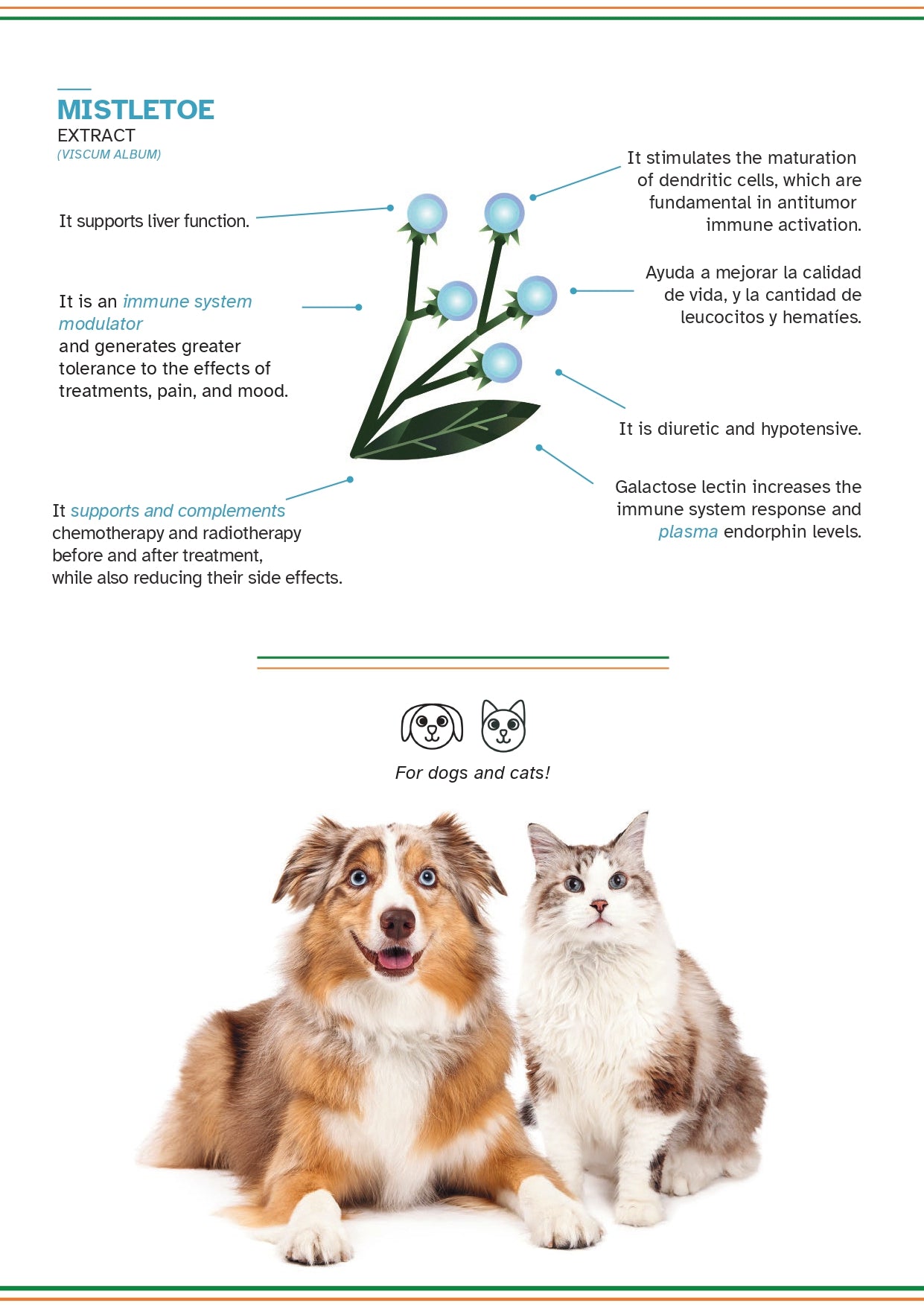 ONCOVET VITALITY