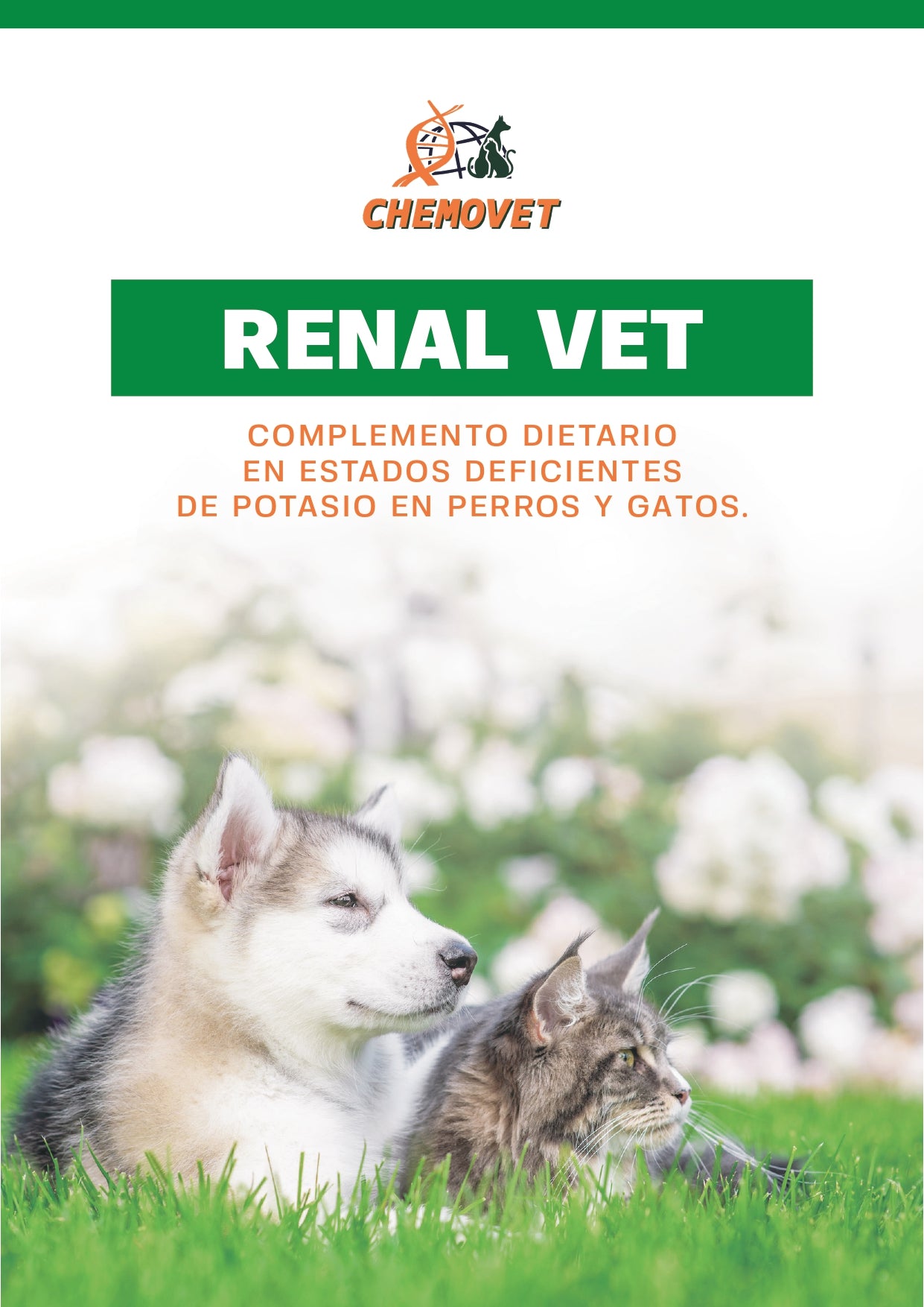 RENAL VET