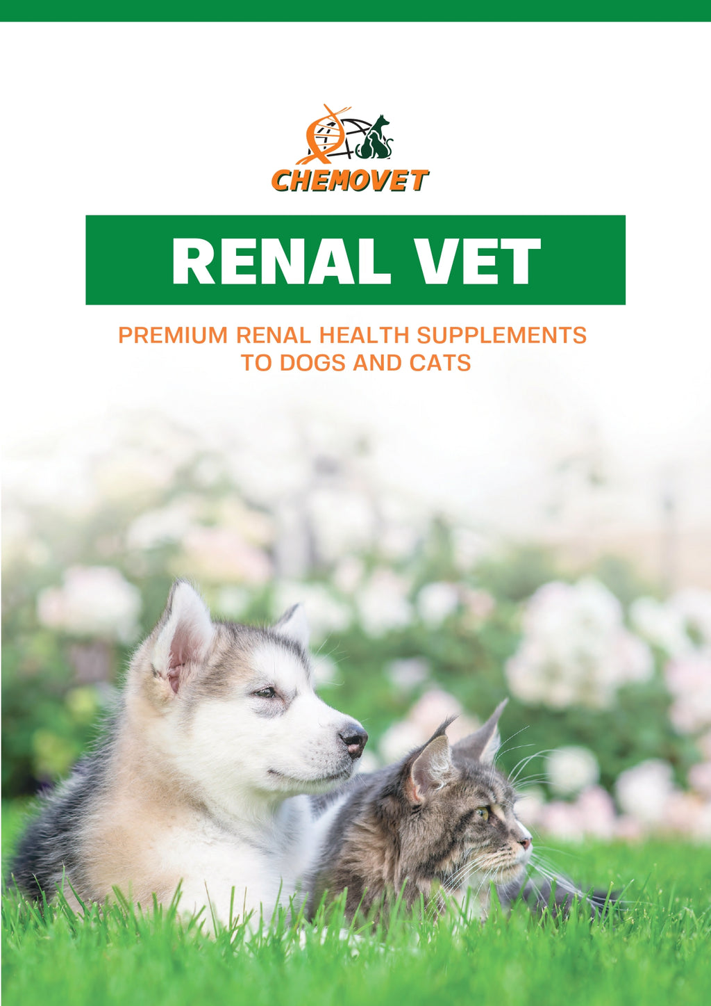RENAL VET