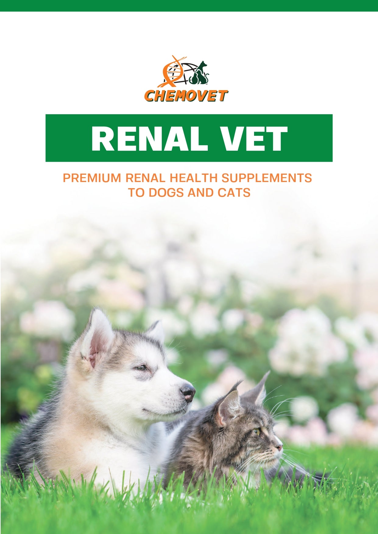 RENAL VET