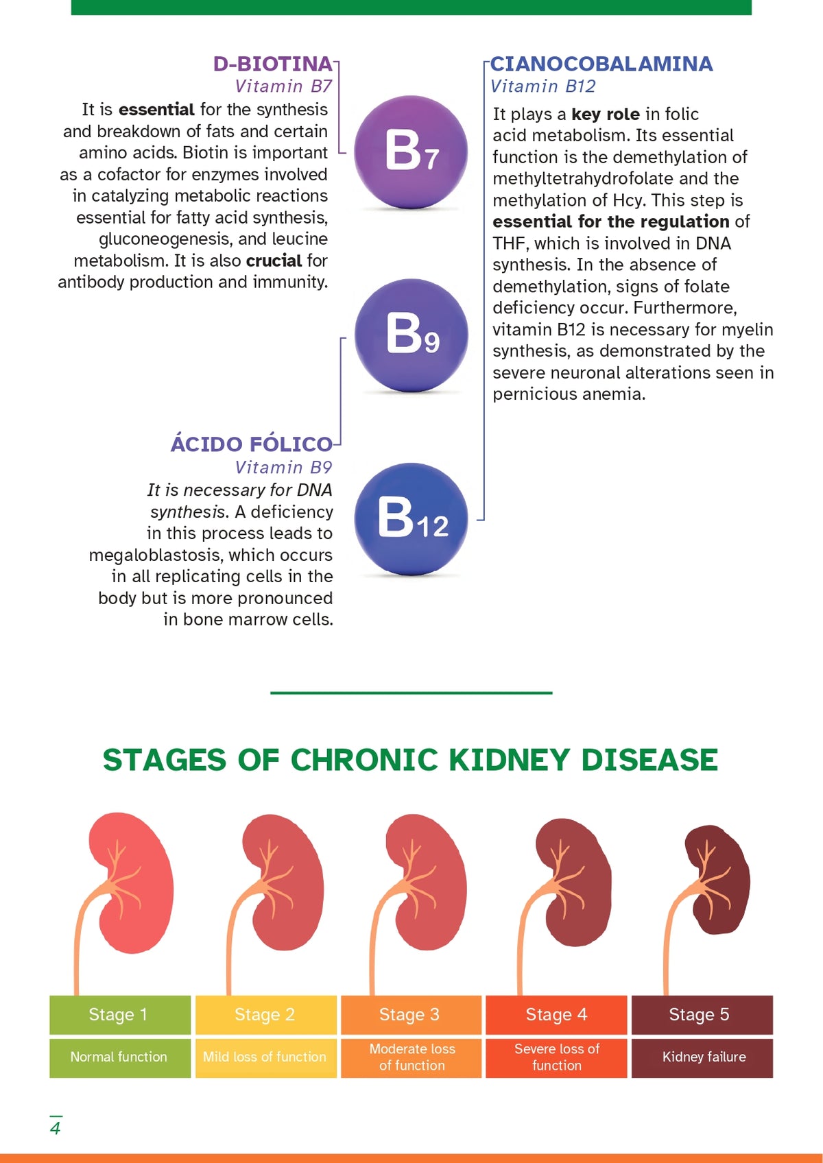 RENAL VET