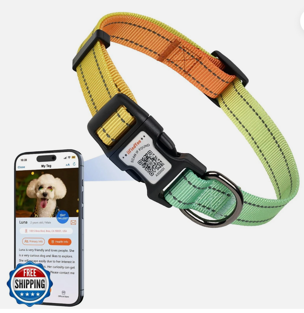 ILFIND YOU  X SMALL (Green-Orange)