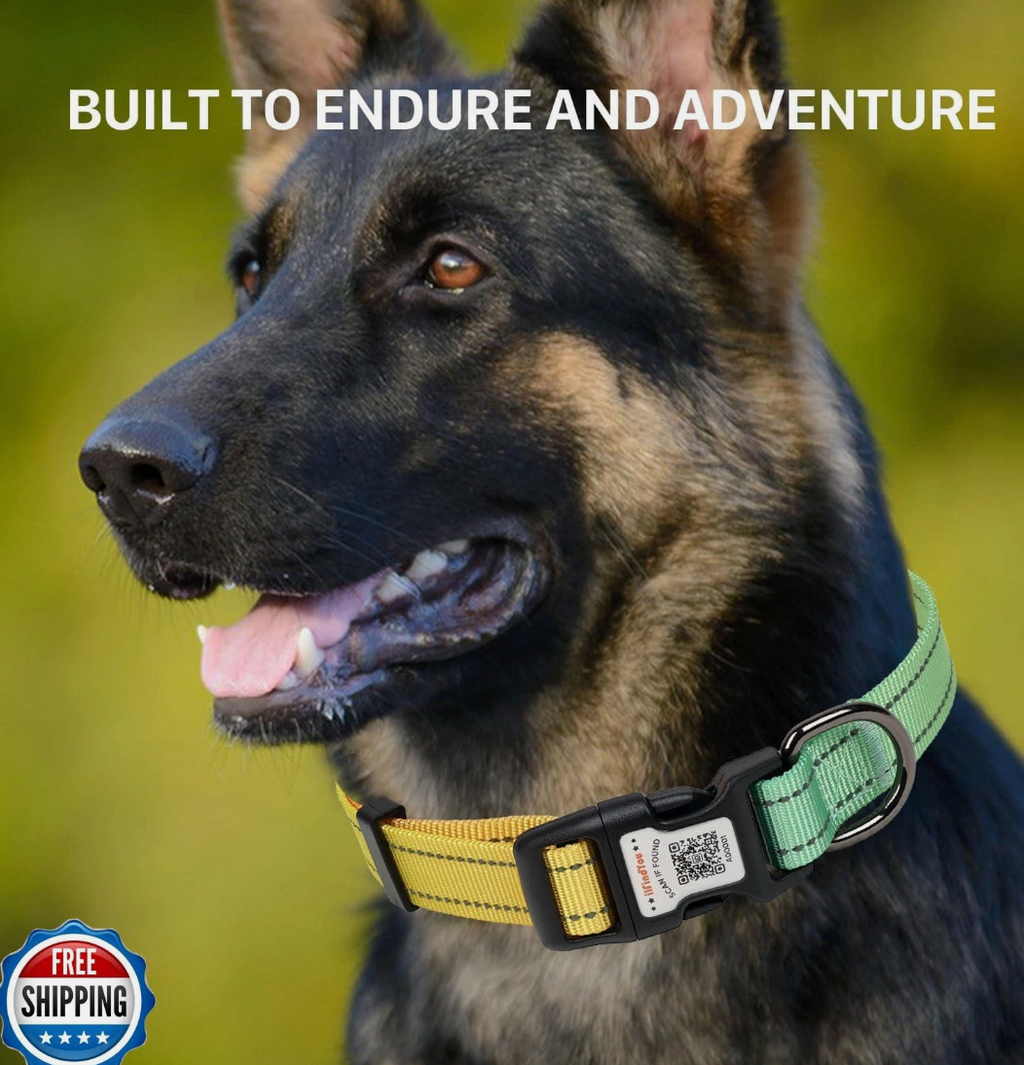 ILFIND YOU  X SMALL (Green-Orange)