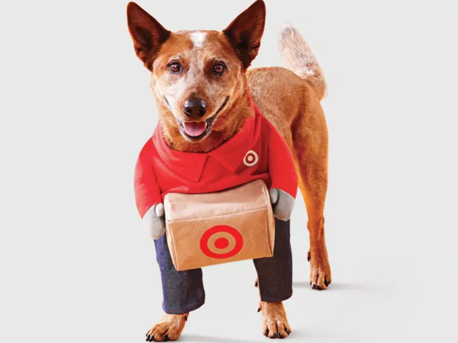 Target Delivery Worker Pet Costume