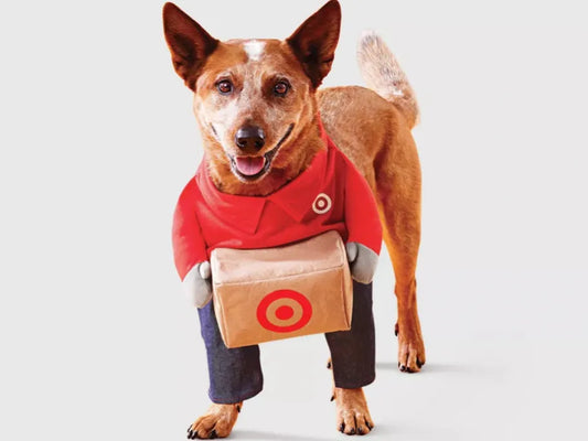 Target Delivery Worker Pet Costume